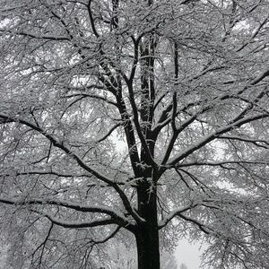 Meet your Posher, Todd